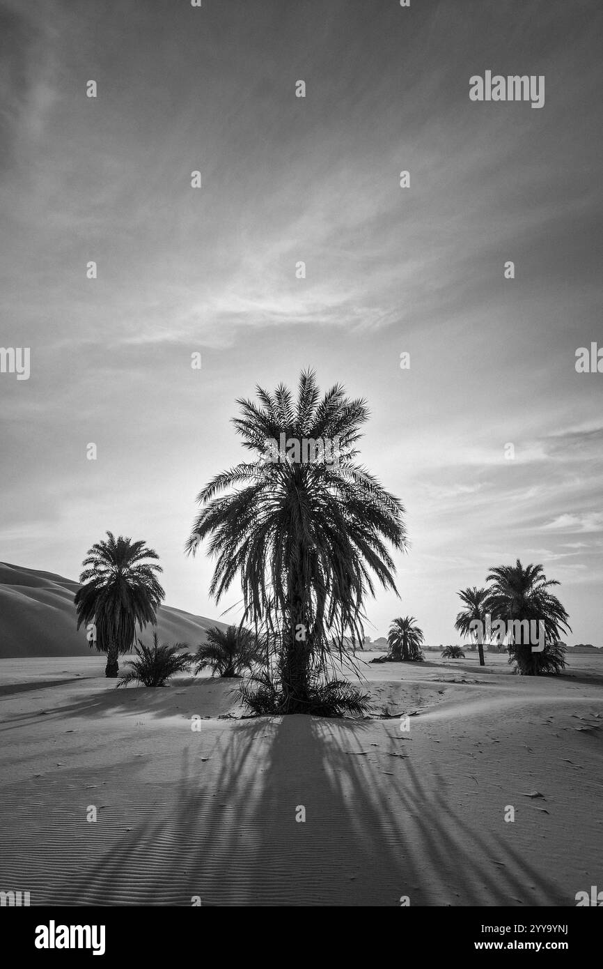 Mauretanien, Azweiga, Landschaft Stockfoto