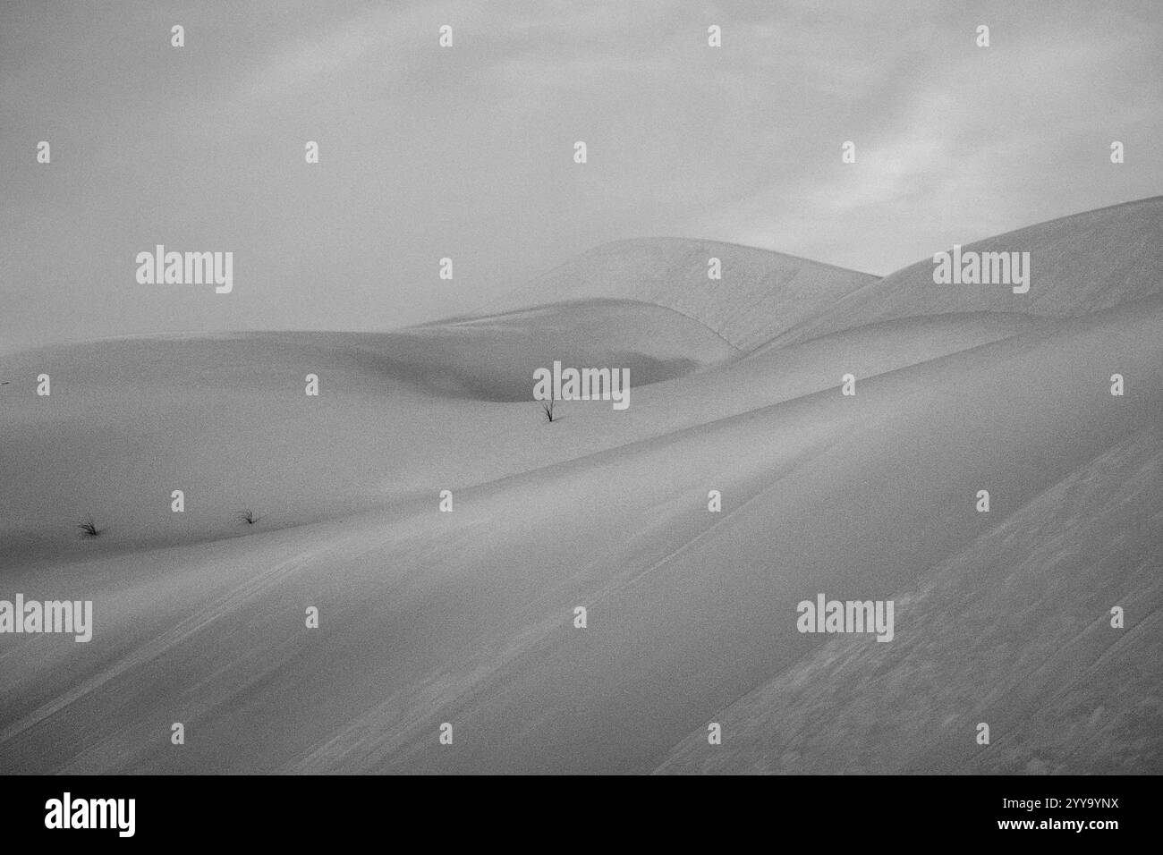 Mauretanien, Azweiga, Landschaft Stockfoto