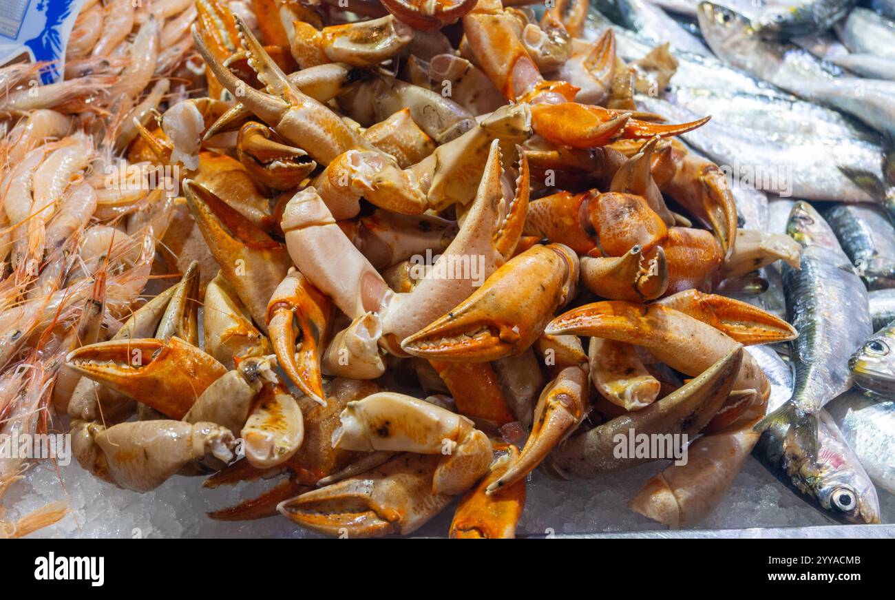 Auswahl an frischem Ozean täglich Fang von verschiedenen spanischen Krabben, Weichtieren, Fisch, Tintenfisch, auf Eis auf dem Fischmarkt in Jerez de la Frontera, Andalusien Stockfoto