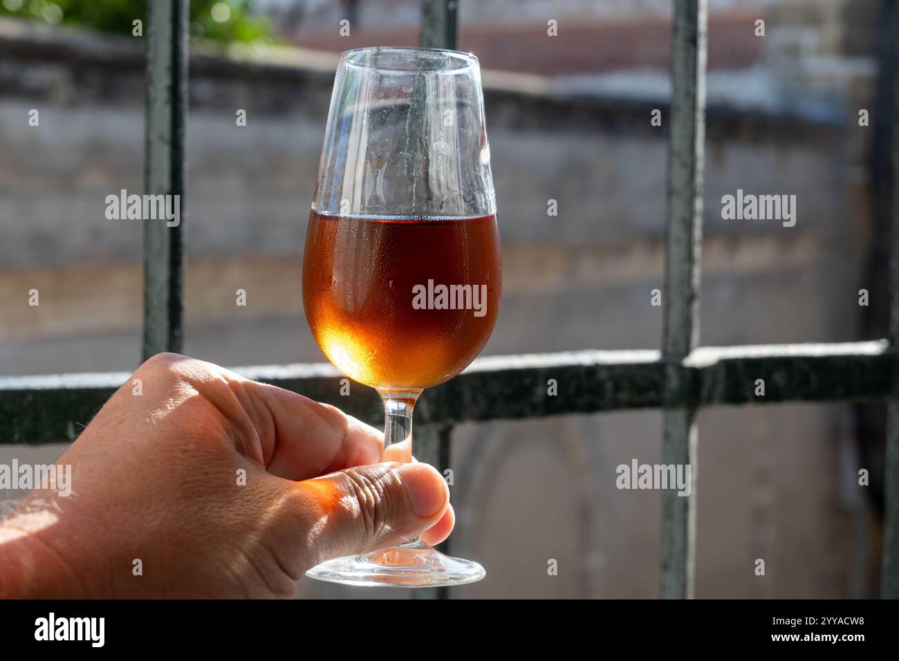 Hand mit Glas Sherry Fino, Manzanilla, Wein, jerez angereicherter Wein aus weißen Palomino-Trauben und andalusischen Fensterstangen auf Hintergrund, Jerez de l Stockfoto