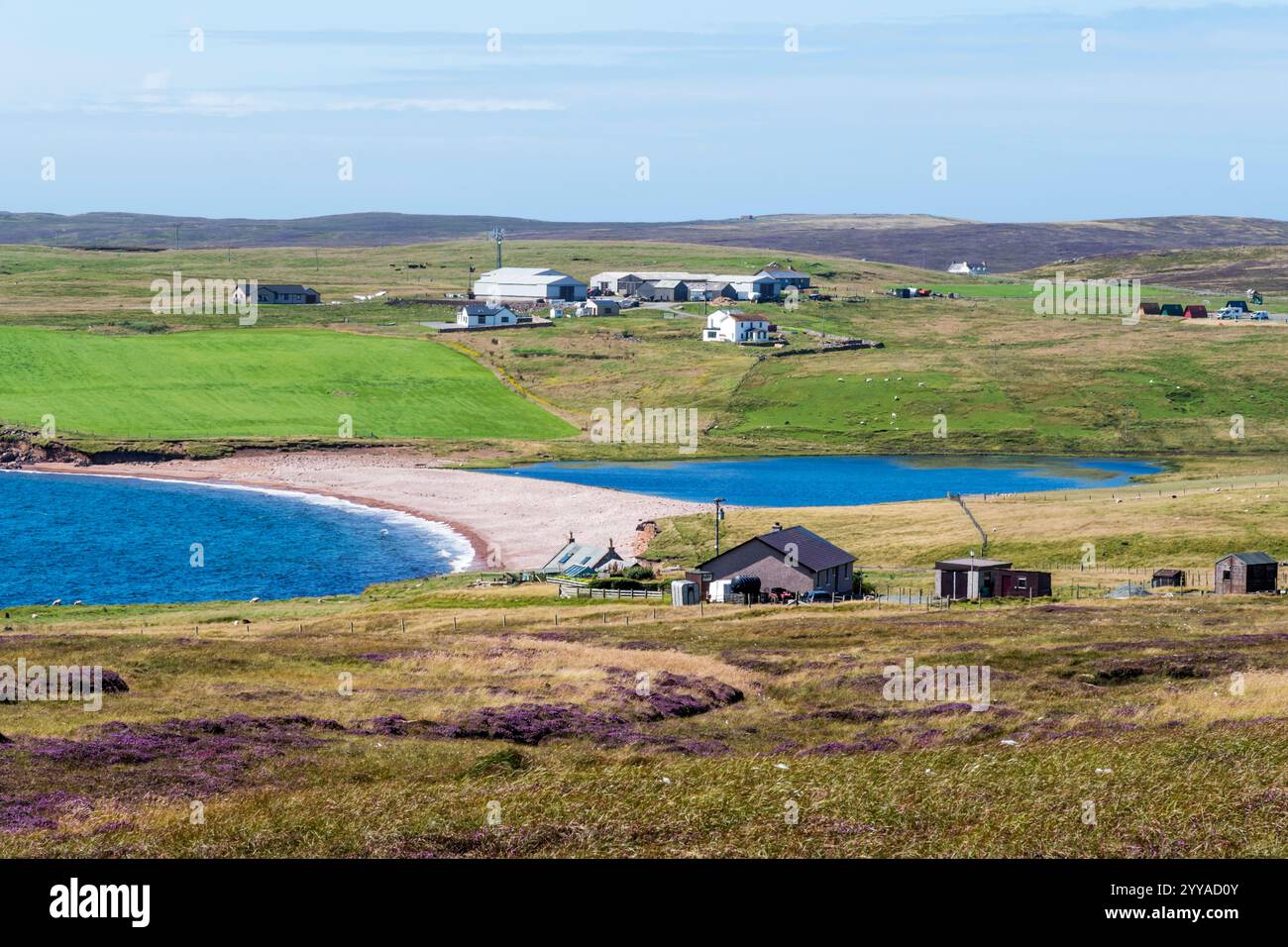 Landwirtschaftslandschaft in Braewick in Northmavine, Shetland. Stockfoto