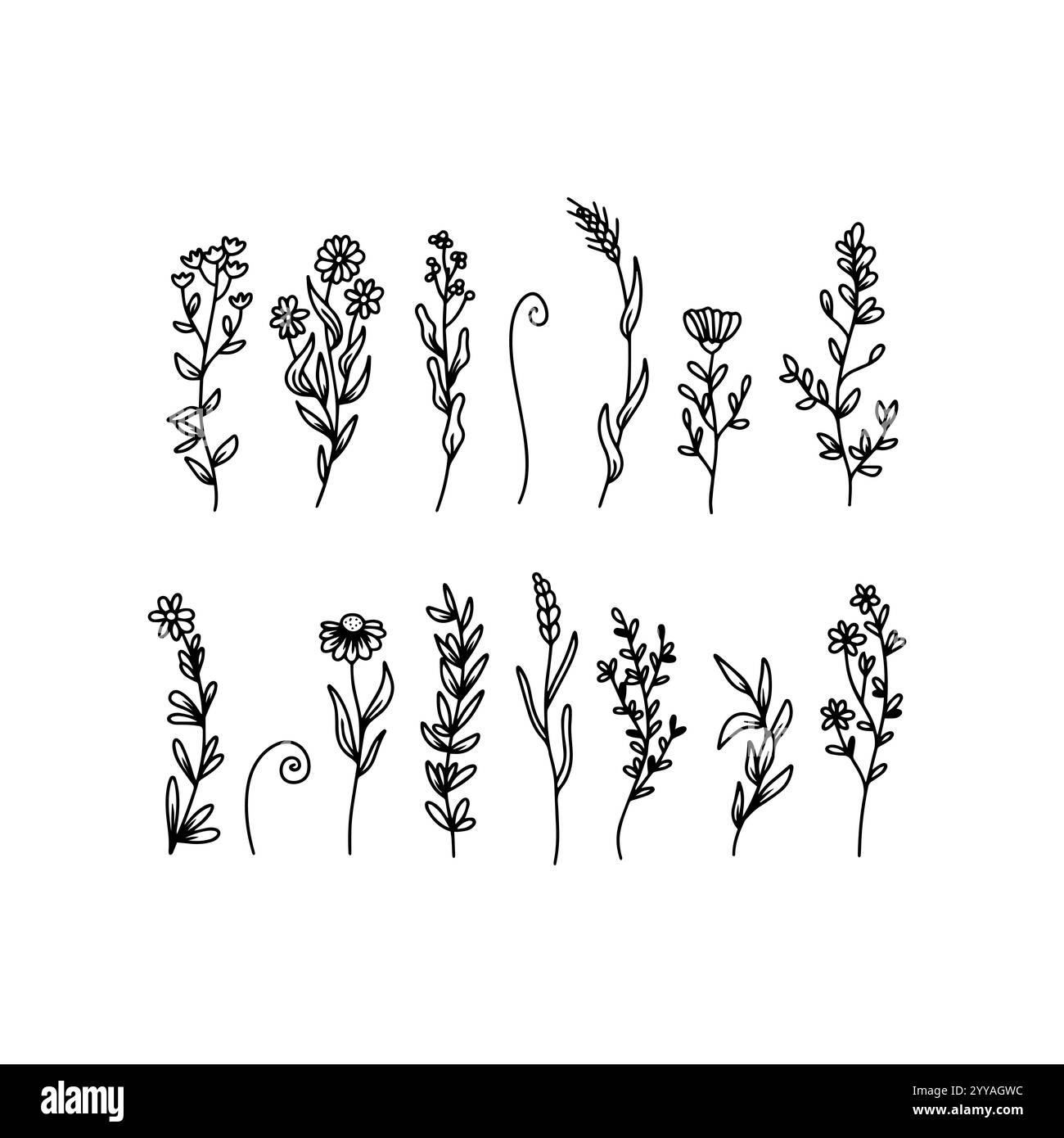 Set mit Strichgrafik-Wildblumen. Set mit botanischen Blumenillustrationen. Stock Vektor