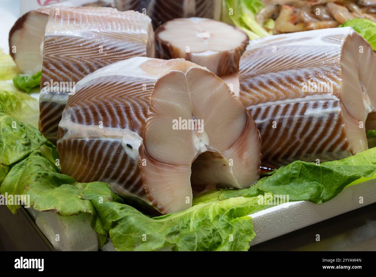 Auswahl an täglichen Fängen von Thunfisch, Kason, Haien, Fischen, Garnelen, Muscheln, Weichtiere auf Eis auf dem Fischmarkt in Jerez de la Frontera, Andalus Stockfoto