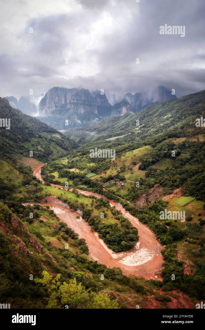 Amboro Nationalpark, Amazonaswald in Bolivien Stockfoto