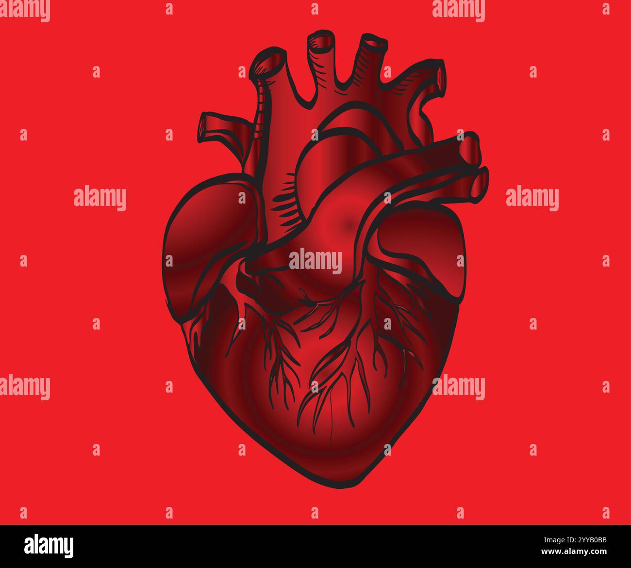 Realistischer anatomischer roter Herzschlag auf dunklem Hintergrund Stock Vektor