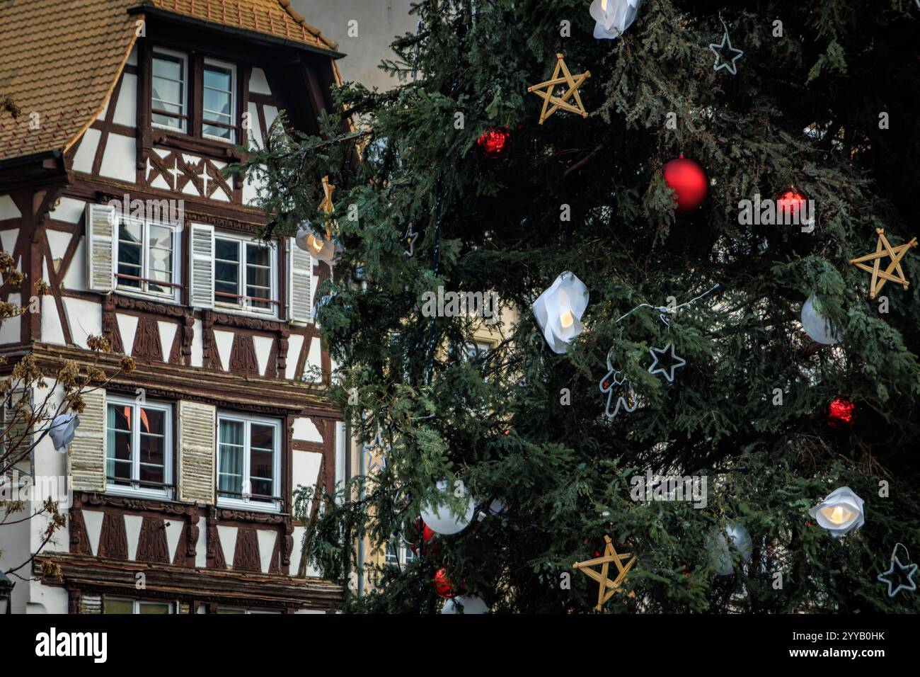 Der große Weihnachtsbaum am Place Kleber, Straßburg, Frankreich, die Hauptstadt der Weihnachtszeit, mit einem historischen Fachwerkhaus im Hintergrund Stockfoto