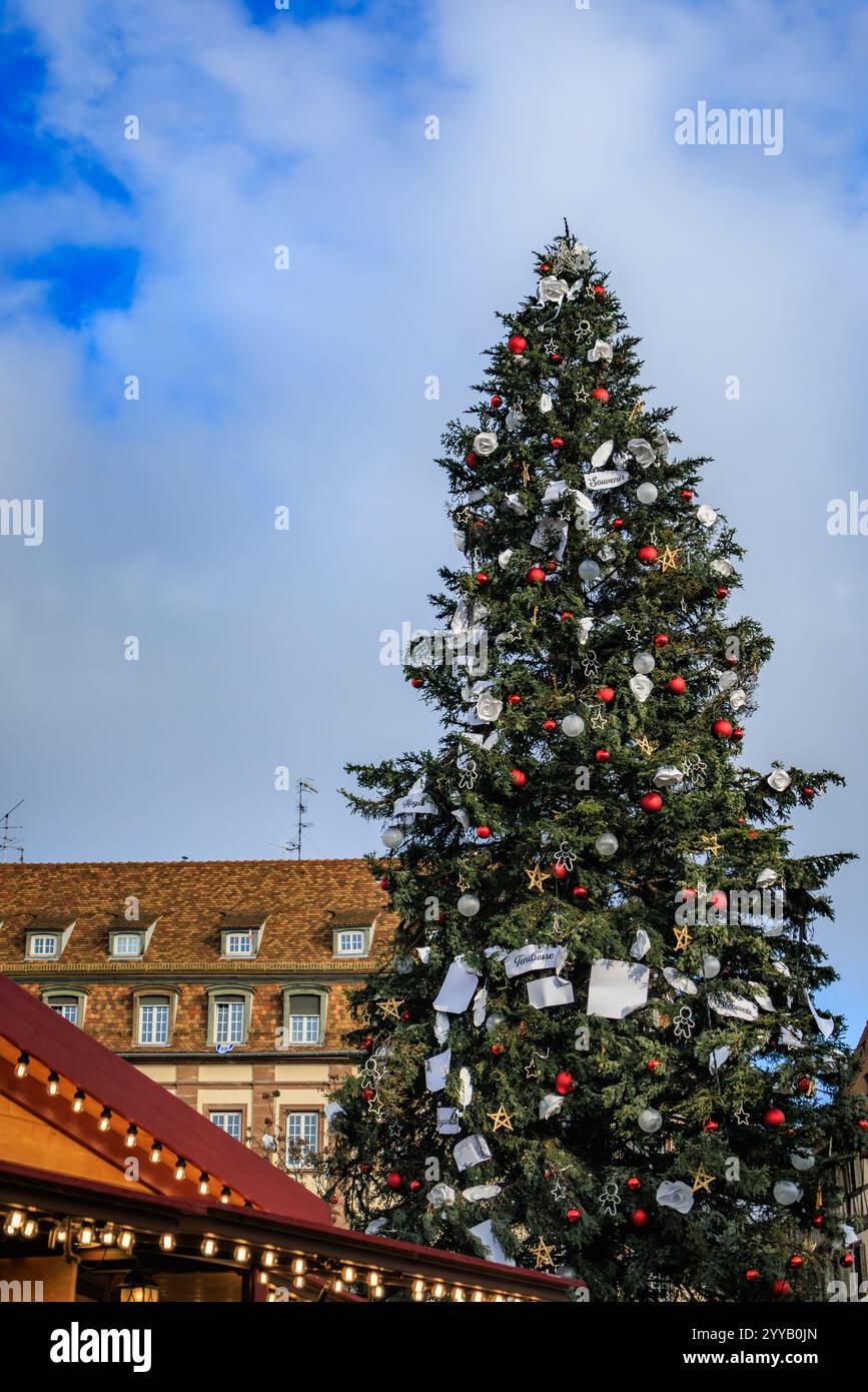Der große Weihnachtsbaum am Place Kleber, Straßburg, Frankreich, die Hauptstadt der Weihnachtszeit, mit einem historischen Fachwerkhaus im Hintergrund Stockfoto