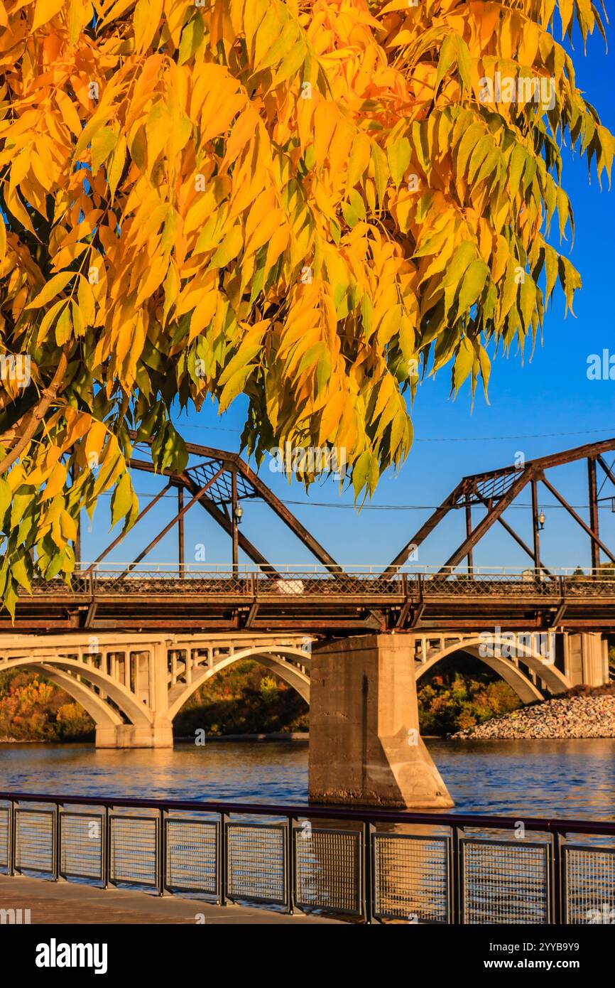 Eine Brücke überspannt einen Fluss mit einem Baum im Vordergrund. Die Blätter auf dem Baum sind gelb und grün Stockfoto