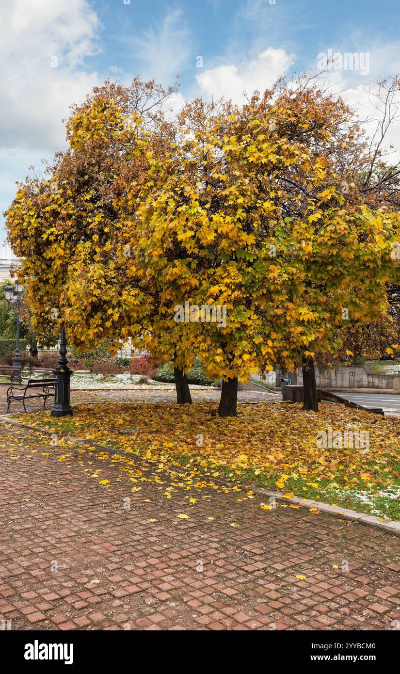 goldener Herbst auf der Straße in Sofia, Bulgarien Stockfoto