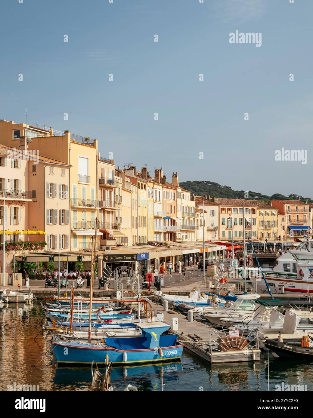 Hafen von Saint-Tropez, französische Riviera, Provence-Alpes-Cote d'Azur, Frankreich Stockfoto