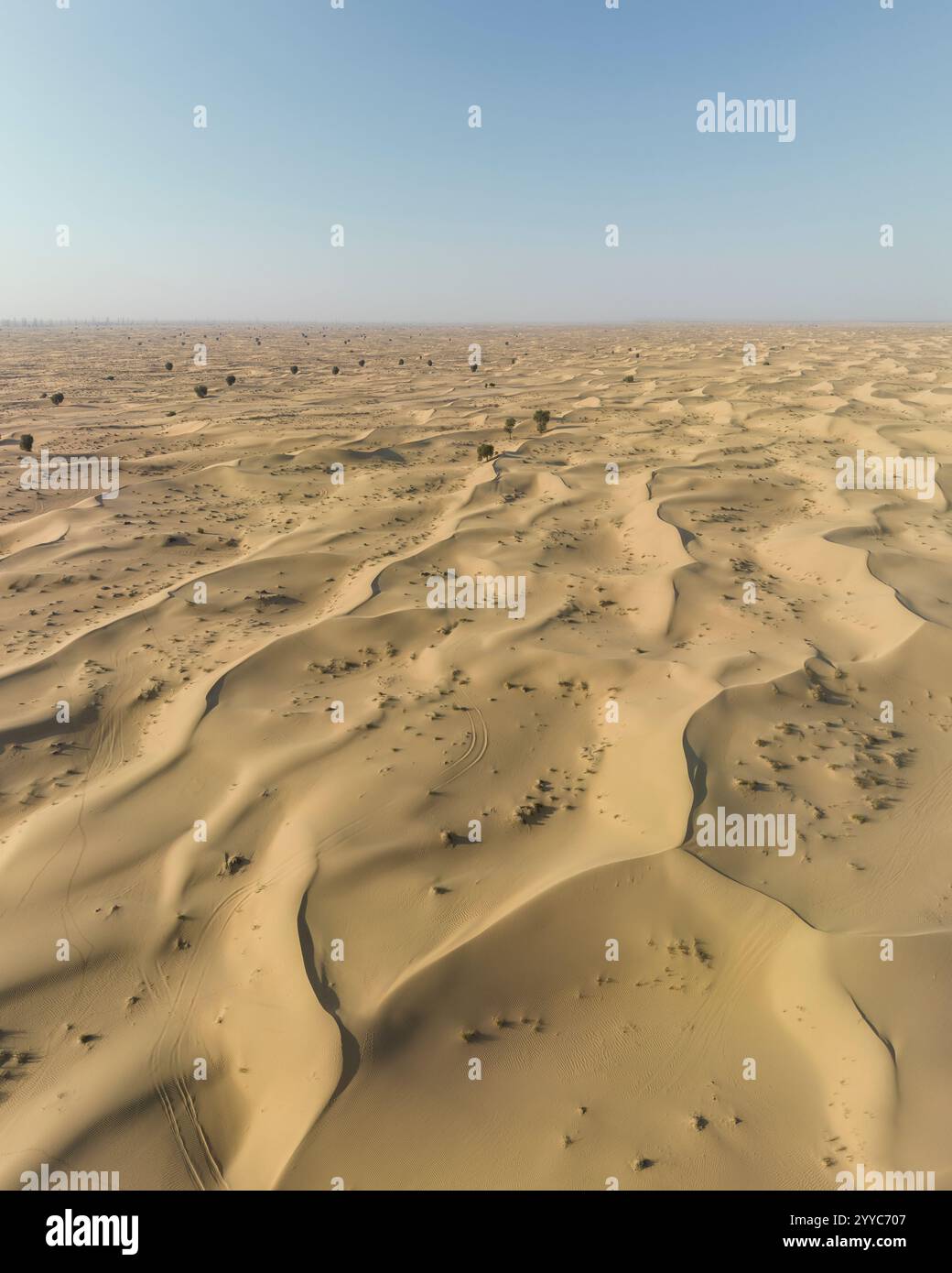Al Qudra Desert, Dubai, Vereinigte Arabische Emirate Stockfoto