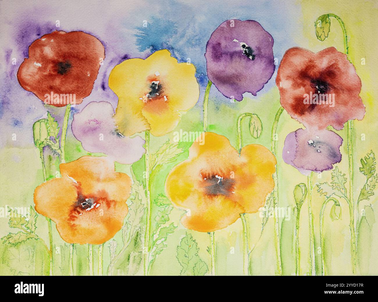 Feld mit hellen Mohnblumen in verschiedenen Farben. Die Dabbing-Technik in der Nähe der Kanten sorgt aufgrund der veränderten Oberflächenrauheit von für einen weichen Fokus Stockfoto