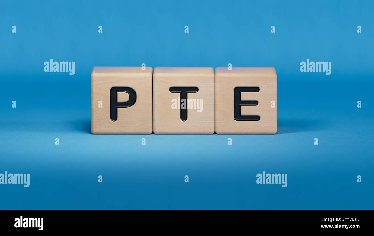 Drei Holzblöcke mit den Buchstaben PTE. Nahaufnahme von Holzelementen, Business Concept.3D-Rendering auf blauem Hintergrund. Stockfoto
