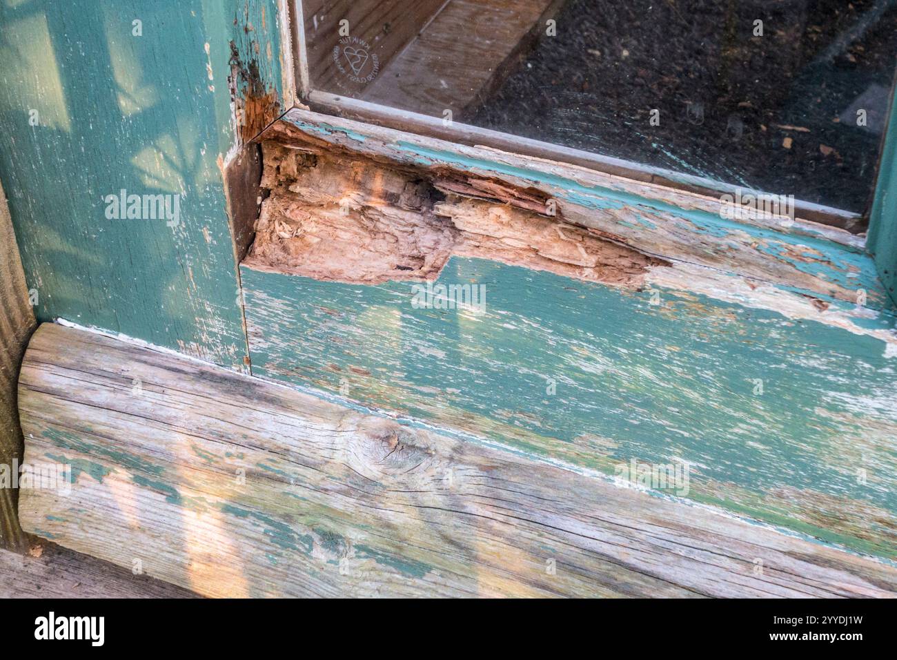 Das Eindringen von Wasser in eine alte, nicht gepflegte Holztür hat zu schweren Verrottungen und Schäden an der Tür und am Rahmen geführt Stockfoto