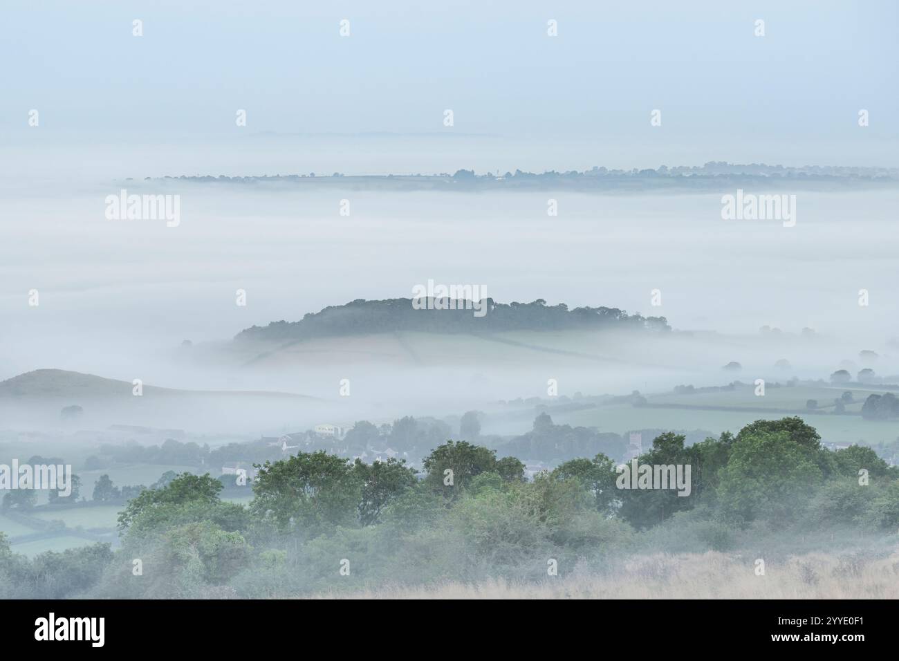 Starker Morgennebel auf den Somerset Levels, wie von den Mendip Hills aus gesehen, Somerset, Großbritannien, mit einigen Bäumen, die gerade erst durchbrechen Stockfoto