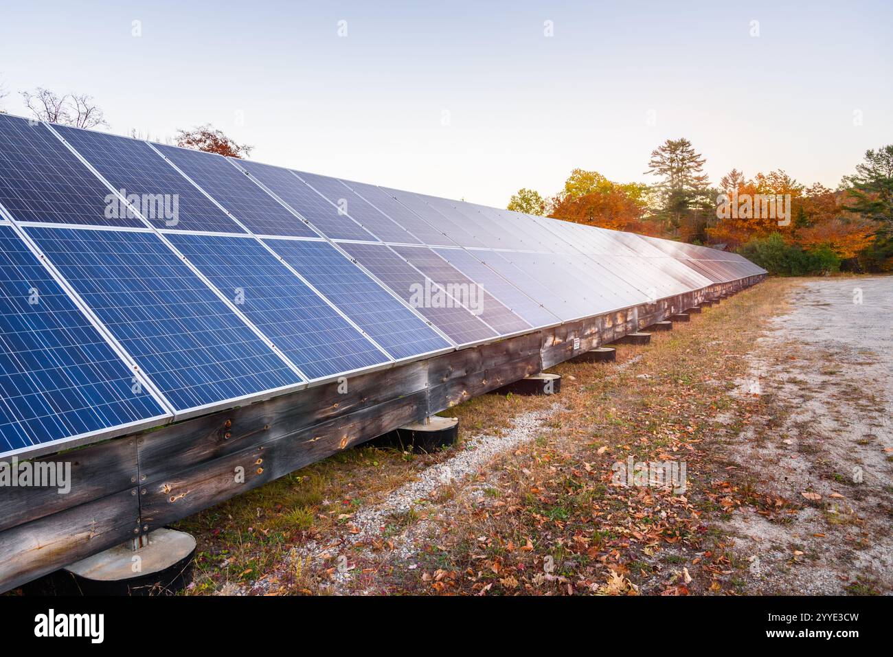 Reihe von Solarpaneelen, die bei Sonnenuntergang von bunten Herbstbäumen umgeben sind Stockfoto