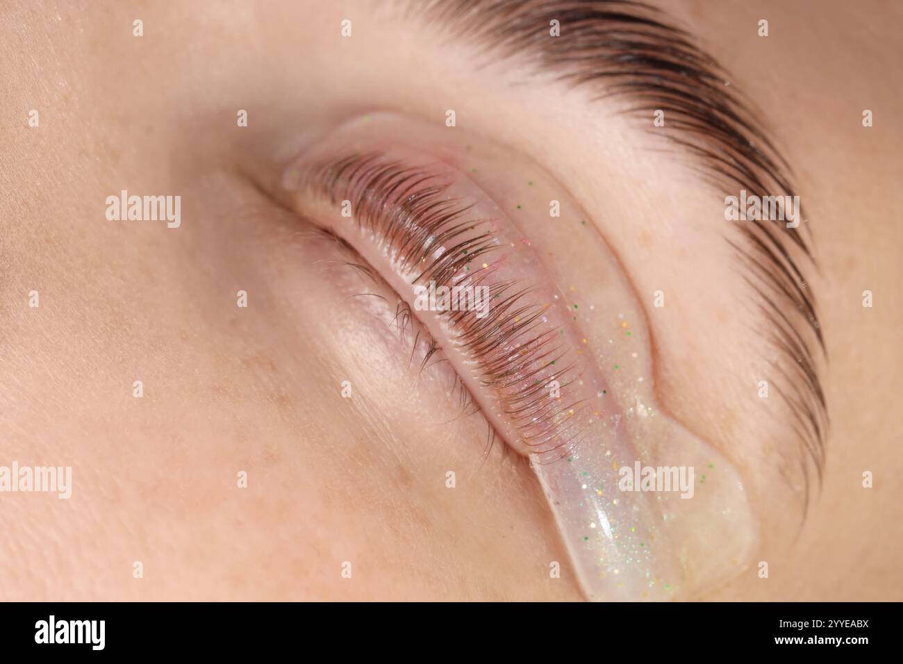 Frau, die sich einer Wimpernlaminierung unterzieht, Nahaufnahme Stockfoto