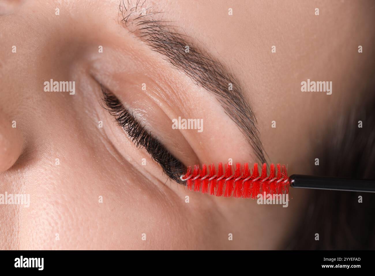 Wimpernverlängerungsverfahren. Frau kämmt Wimpern mit Bürste, Nahaufnahme Stockfoto