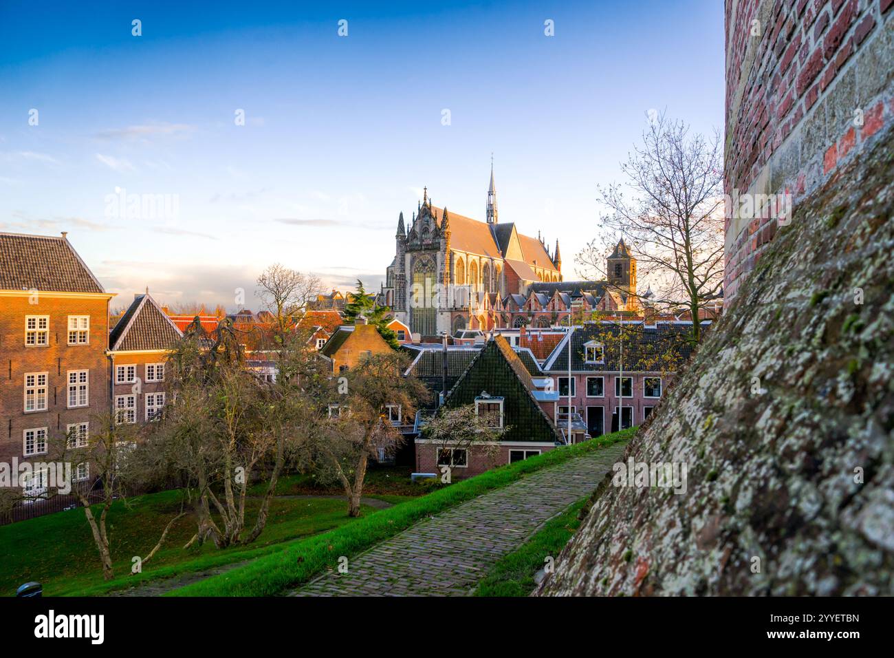 Blick auf die gotische Kathedrale von Hoodlandse von Burcht van Leiden am Abend bei niedrigem Sonnenlicht und blauem Himmel Stockfoto