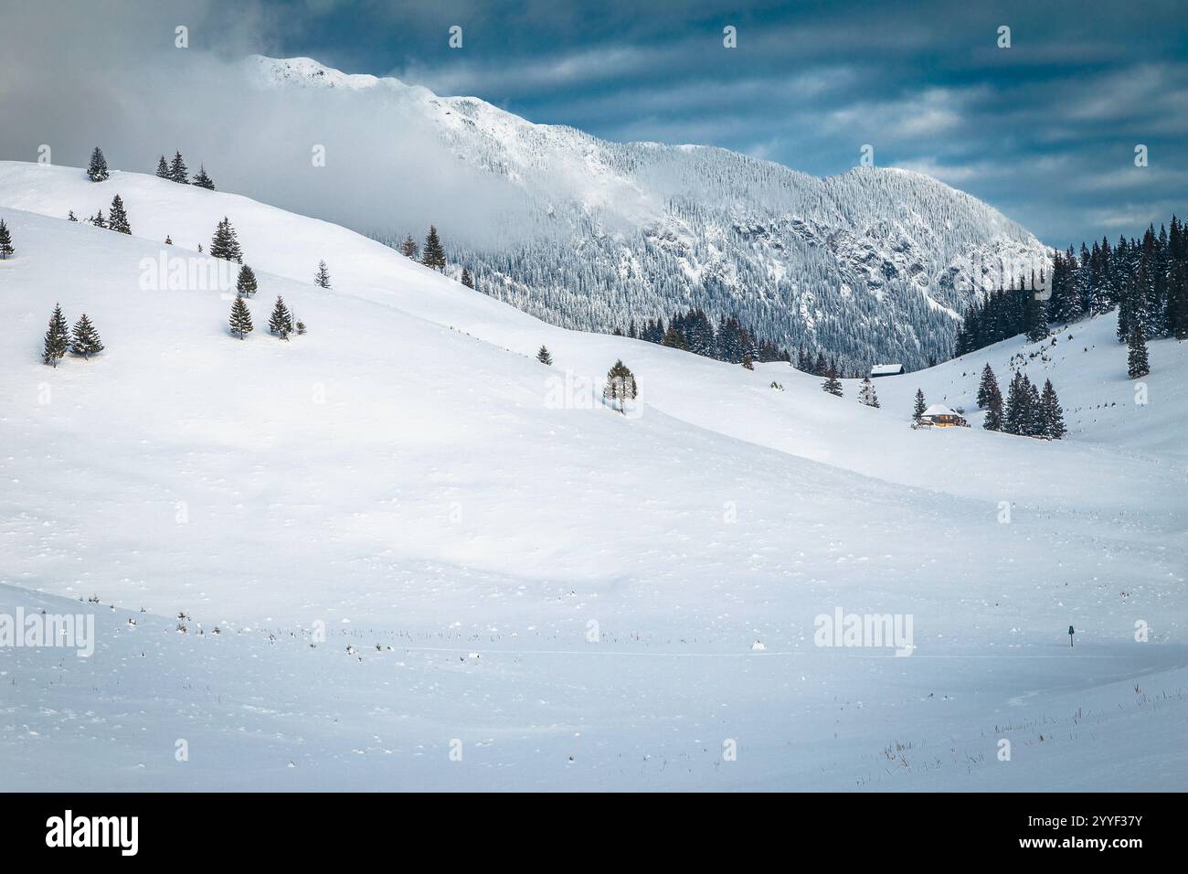 Fabelhafte Winterlandschaft mit schneebedeckten Kiefernwäldern auf den verschneiten Hängen in der atemberaubenden Wildnis, Karpaten, Rumänien, Europa Stockfoto