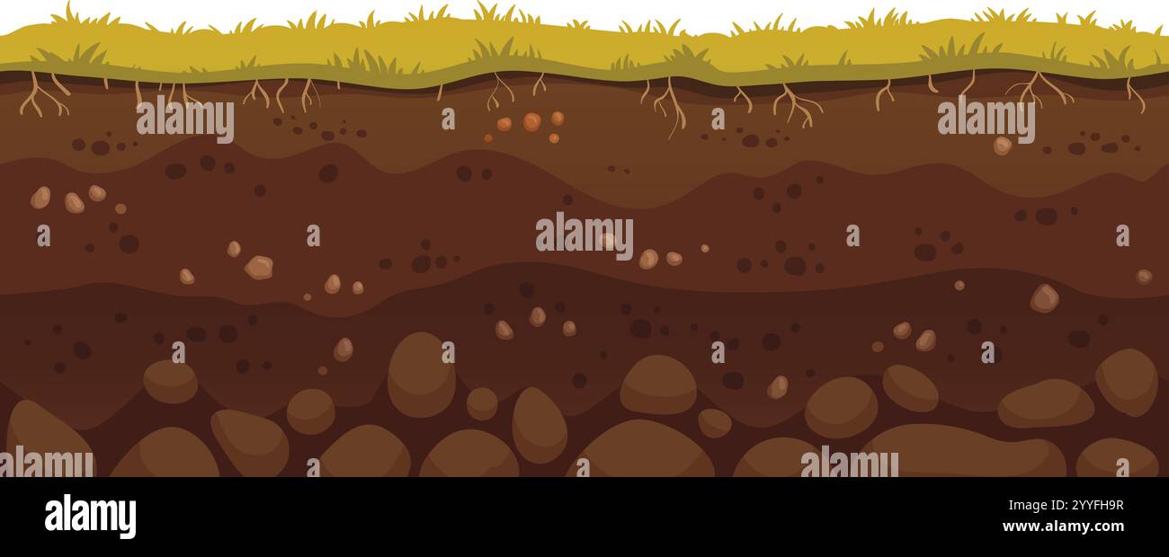 Grünes Gras wächst auf braunen Bodenschichten mit sichtbaren Wurzeln und Felsen und stellt einen gesunden und fruchtbaren Boden dar, der sich perfekt für Landwirtschaft und Gartenarbeit eignet Stock Vektor