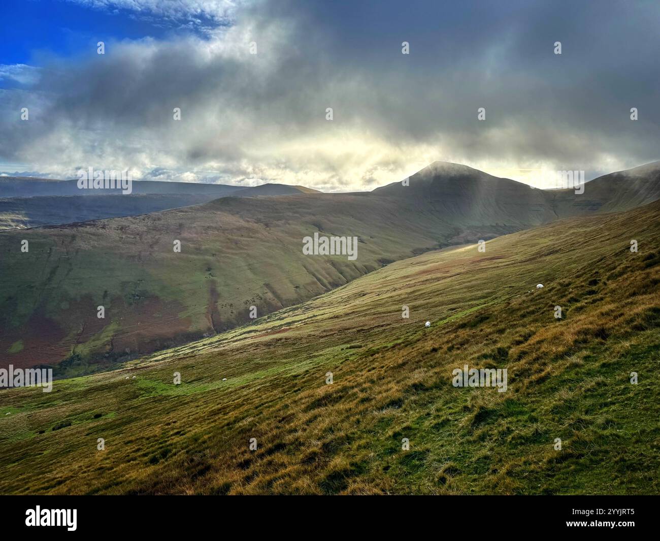 Cribyn Mountain, Bannau Brycheiniog (Brecon Beacons), Herbst. Stockfoto