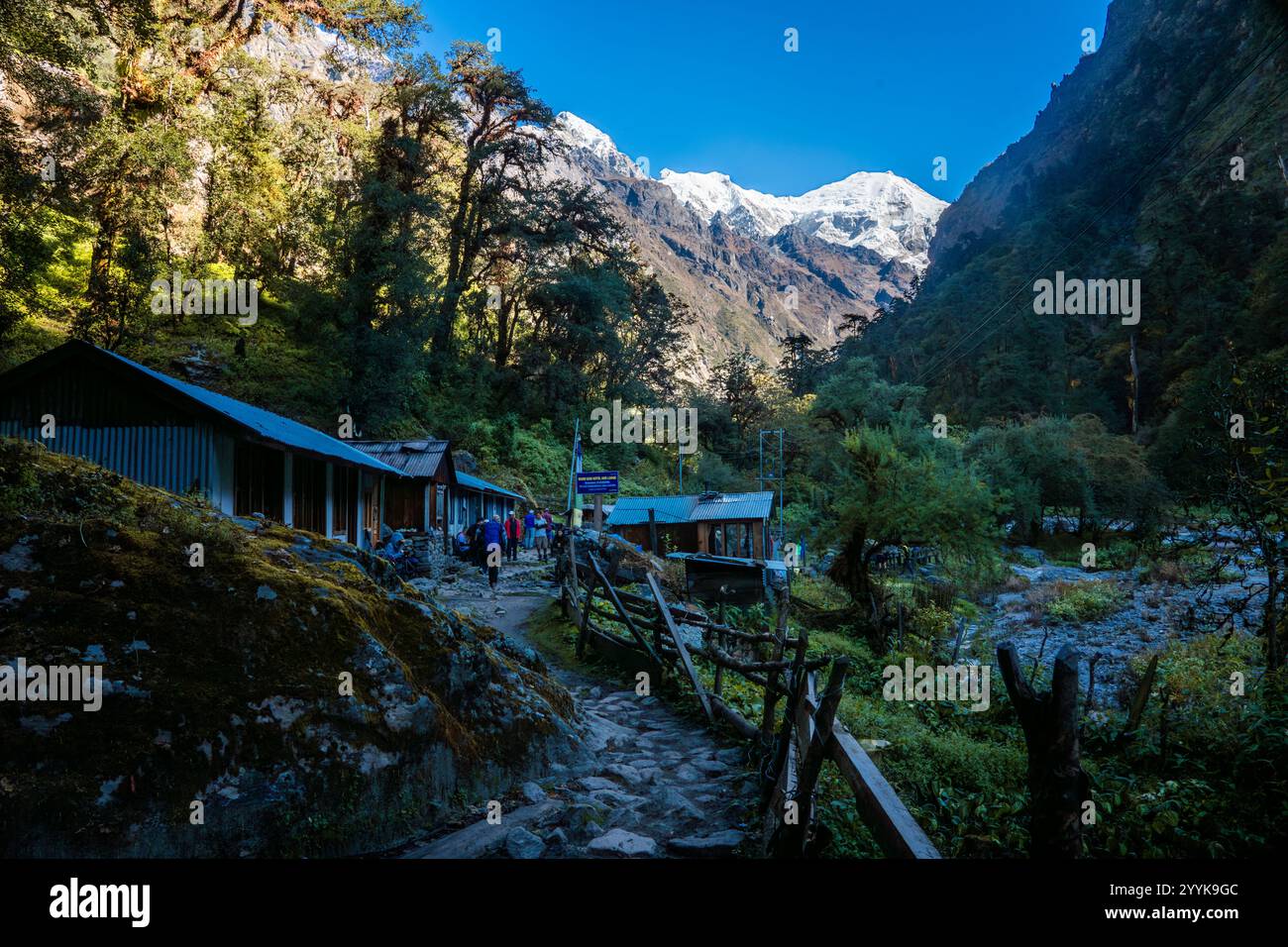 Erster Blick auf die Berge des Himalaya während der Wanderung vom Lama Hotel zum Dorf Langtang, Nepal Stockfoto