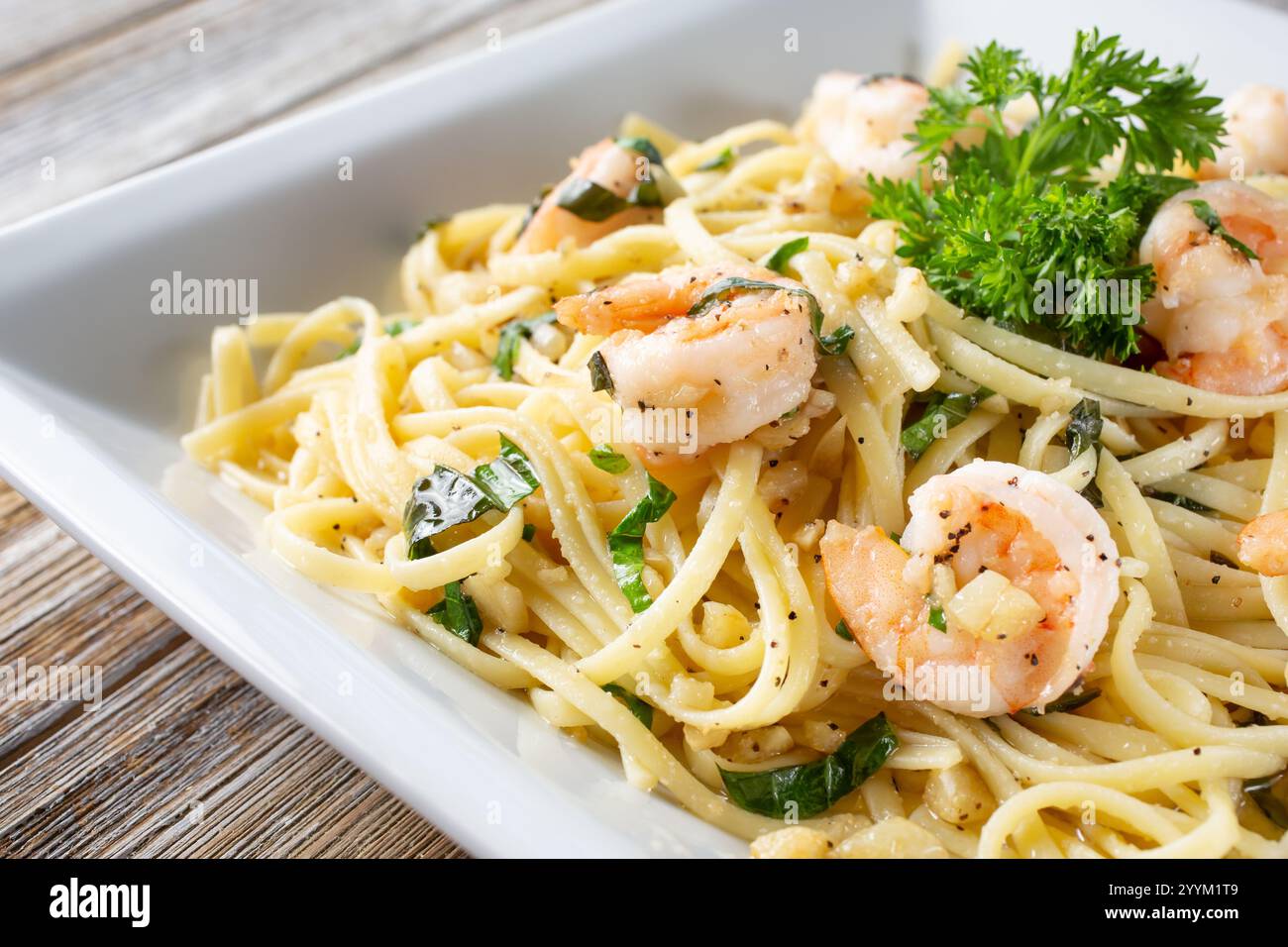 Ein Blick auf einen Teller mit Aaglio und olio Garnelen Spaghetti. Stockfoto