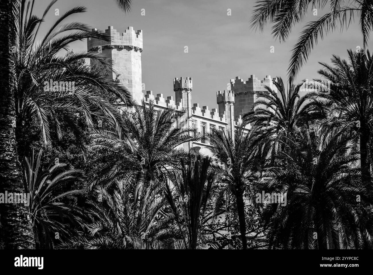Monochromer Blick auf Palma, Mallorca Stockfoto