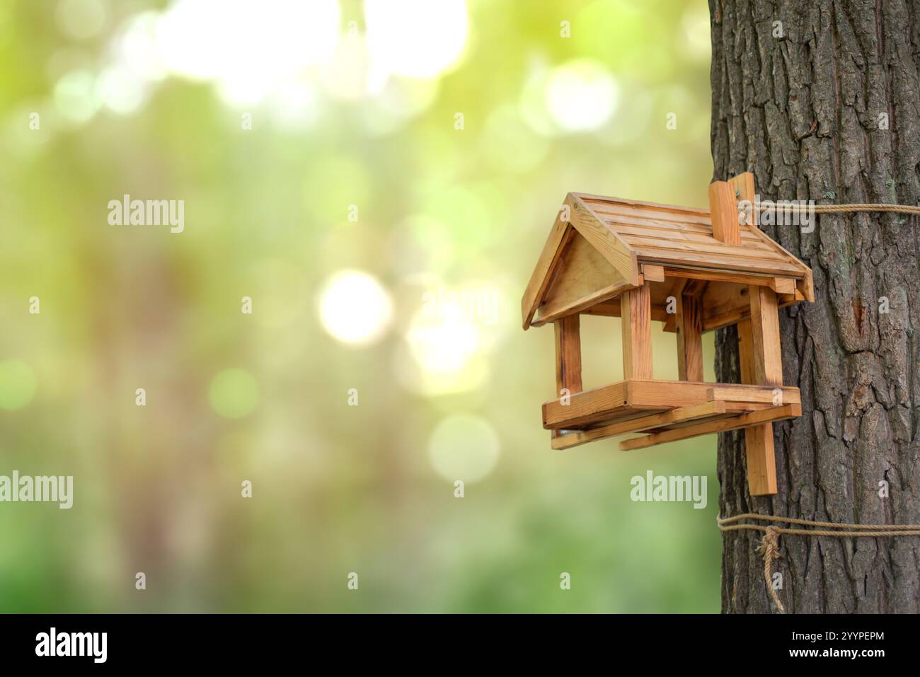 Vogelfutter aus Holz. Vogelfutter aus Holz auf einem Baumstamm. Vogelfutter im Sommerwald. Stockfoto