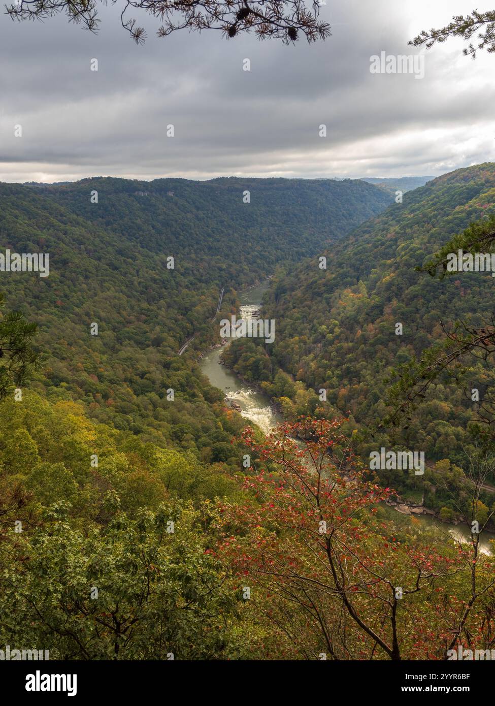 Der New River Gorge National Park in West Virginia wird mit leuchtenden Farben des frühen Herbstes und dramatischen Wolken zum Leben erweckt und sorgt für eine atemberaubende Jahreszeit Stockfoto