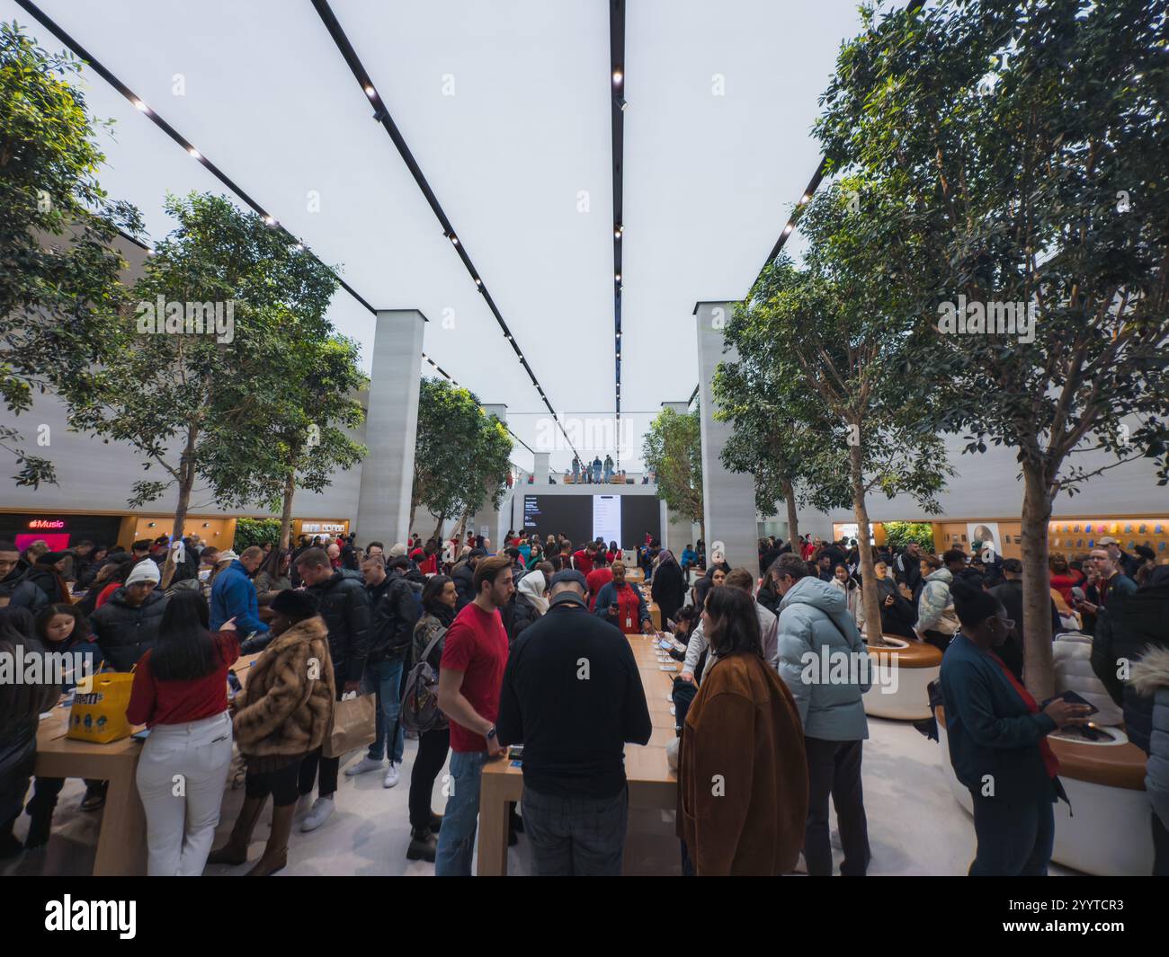 Das Bild zeigt einen modernen Apple Store in London, der voll mit Urlaubskäufern ist. Auf Holztischen werden Apple-Produkte ausgestellt, und große Bäume im Innenbereich sorgen für mehr Grün Stockfoto