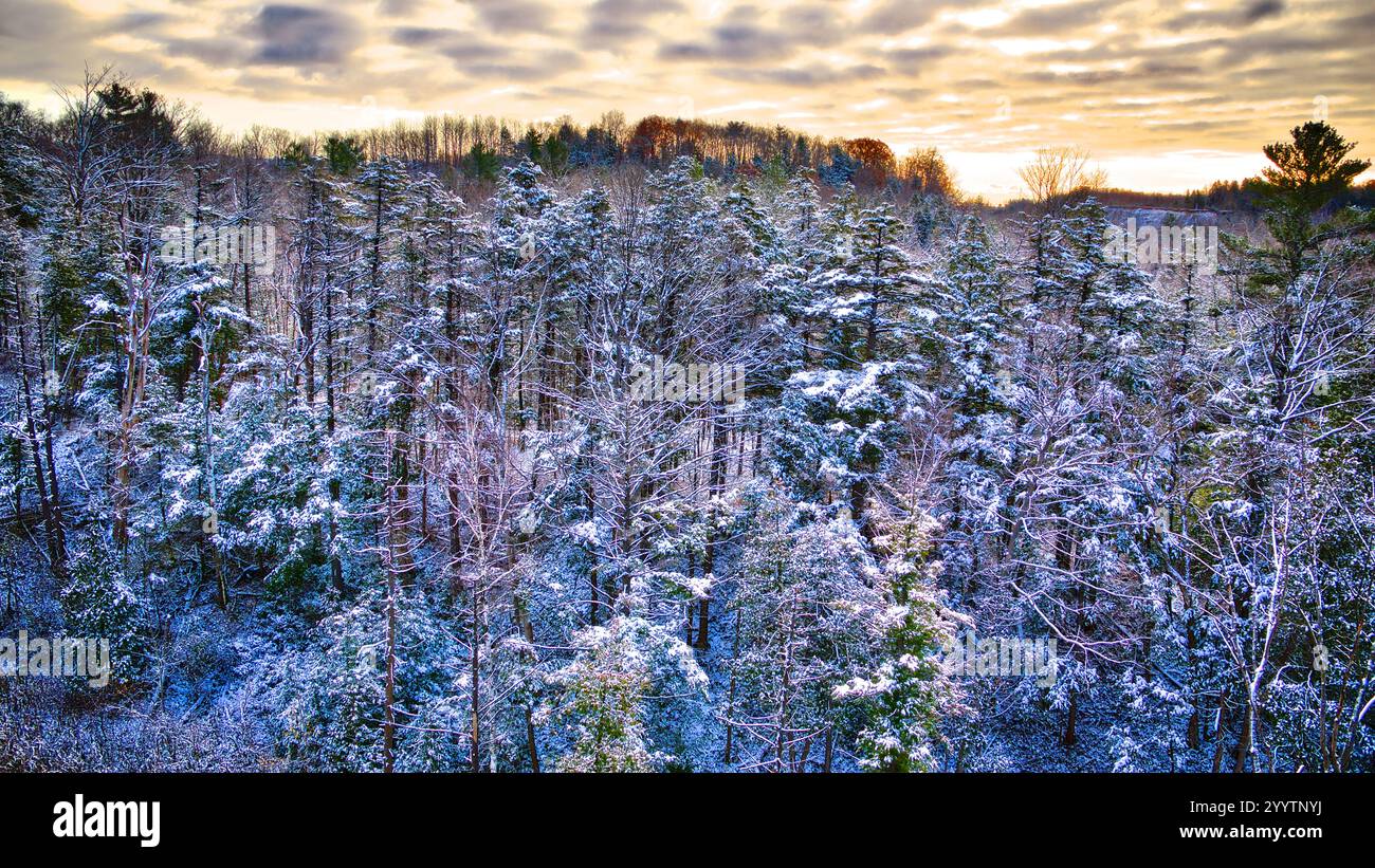Winterlandschaft des Waldes nach dem ersten Schneefall Stockfoto