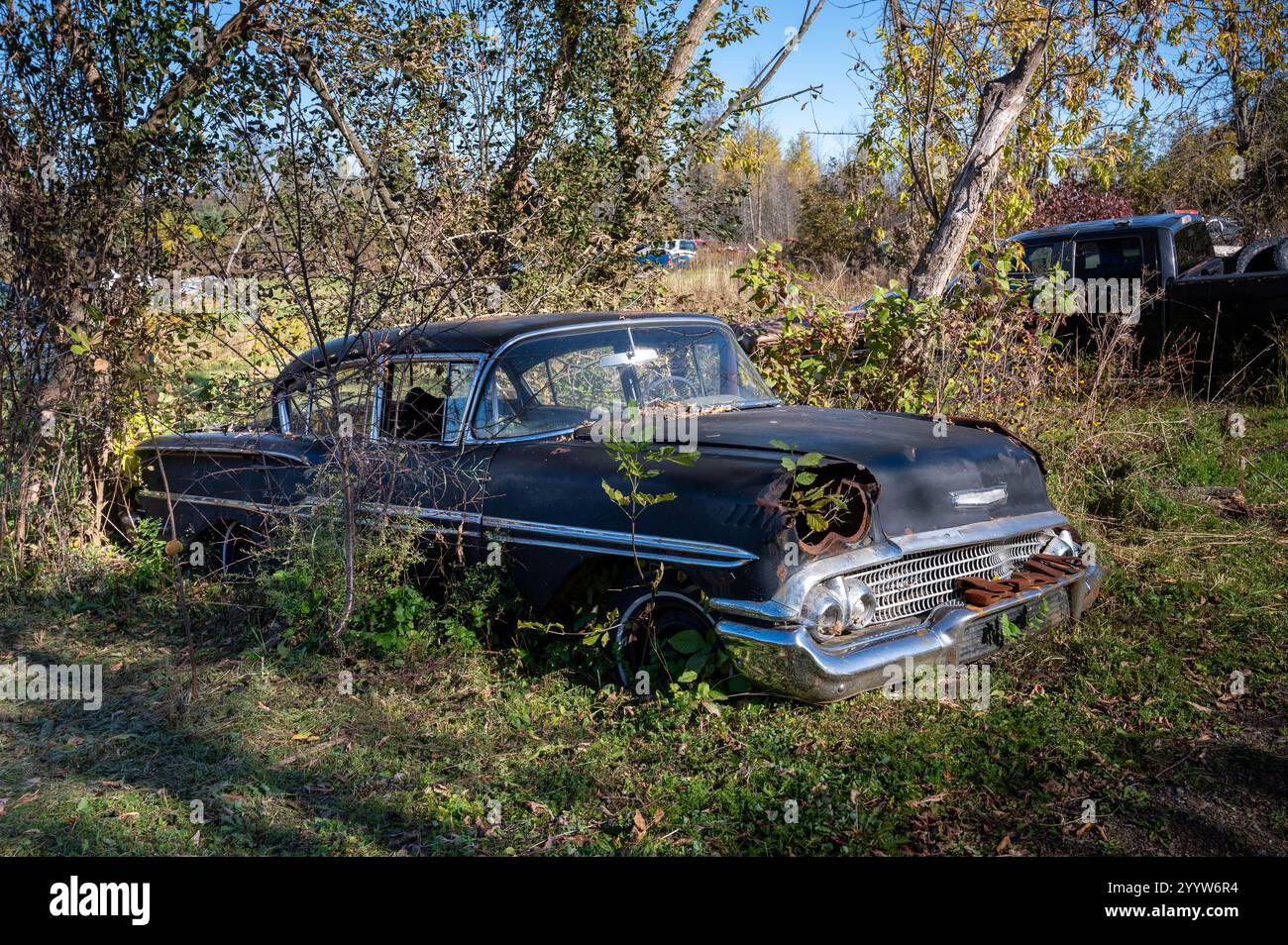 Der alte Chevvy Biscayne sitzt verlassen und rostet in einem Schrottplatz Stockfoto