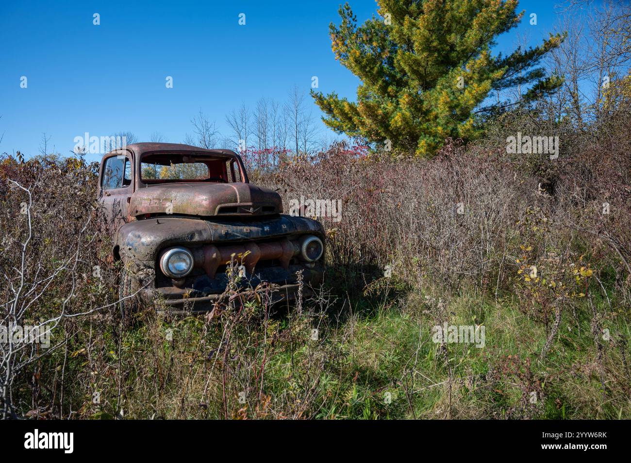 Der alte Dodge Pick-up-Truck ist dauerhaft auf einem Feld geparkt Stockfoto
