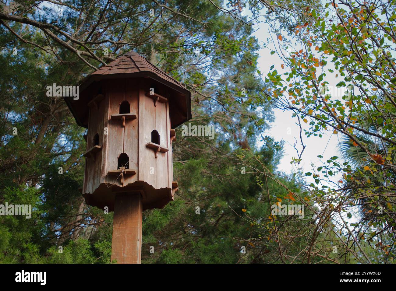 Nahaufnahme horizontaler Aufnahme eines Vogelhauses aus Holz auf einem Holzpfosten. Grüne Gliedmaßen und Blätter auf beiden Seiten. Blauer Himmel im Hintergrund. Platz zum Kopieren. Stockfoto