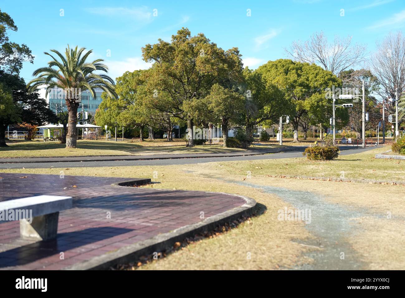 Ein großer Park in Higashi Ward, Fukuoka City, Präfektur Fukuoka, Japan am Morgen des 20. Dezember 2024. Stockfoto