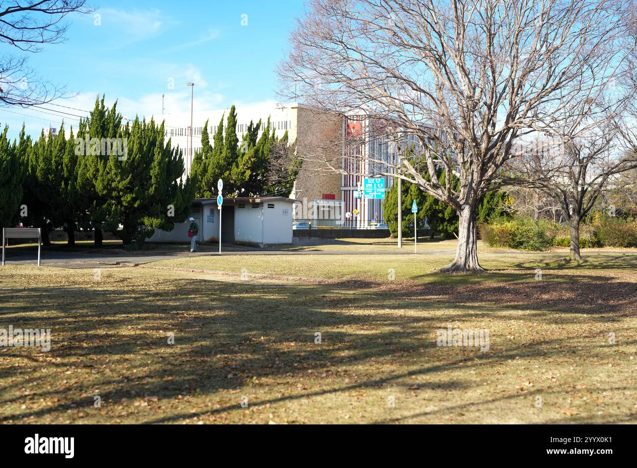 Ein großer Park in Higashi Ward, Fukuoka City, Präfektur Fukuoka, Japan am Morgen des 20. Dezember 2024. Stockfoto