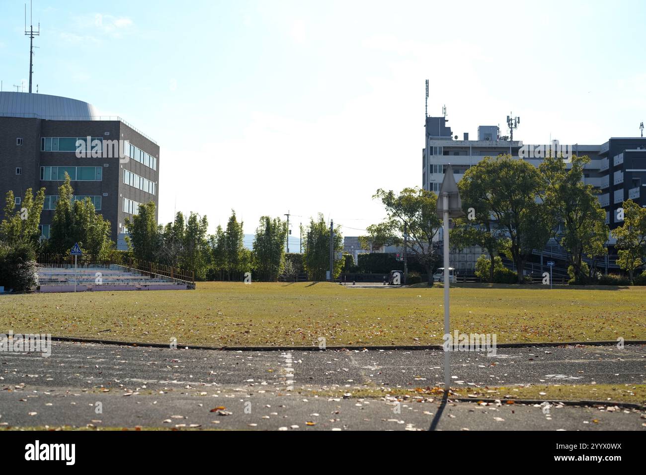 Ein großer Park in Higashi Ward, Fukuoka City, Präfektur Fukuoka, Japan am Morgen des 20. Dezember 2024. Stockfoto