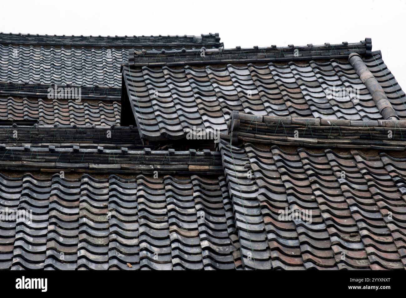 Altes japanisches Muster Konzept Bild von grauem Porzellan traditionellen Dachziegeln und Dachlinien einer alten japanischen Residenz in Omihachiman, Shiga, Japan. Stockfoto