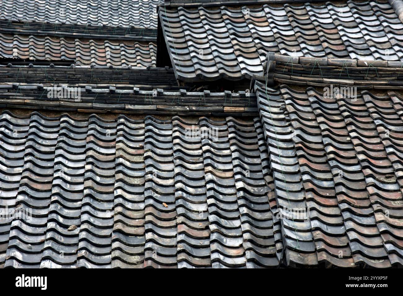 Altes japanisches Muster Konzept Bild von grauem Porzellan traditionellen Dachziegeln und Dachlinien einer alten japanischen Residenz in Omihachiman, Shiga, Japan. Stockfoto
