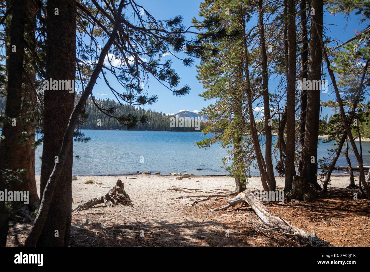 Yosemite National Park, Kalifornien - Tenaya Lake im Yosemite National Park. Stockfoto