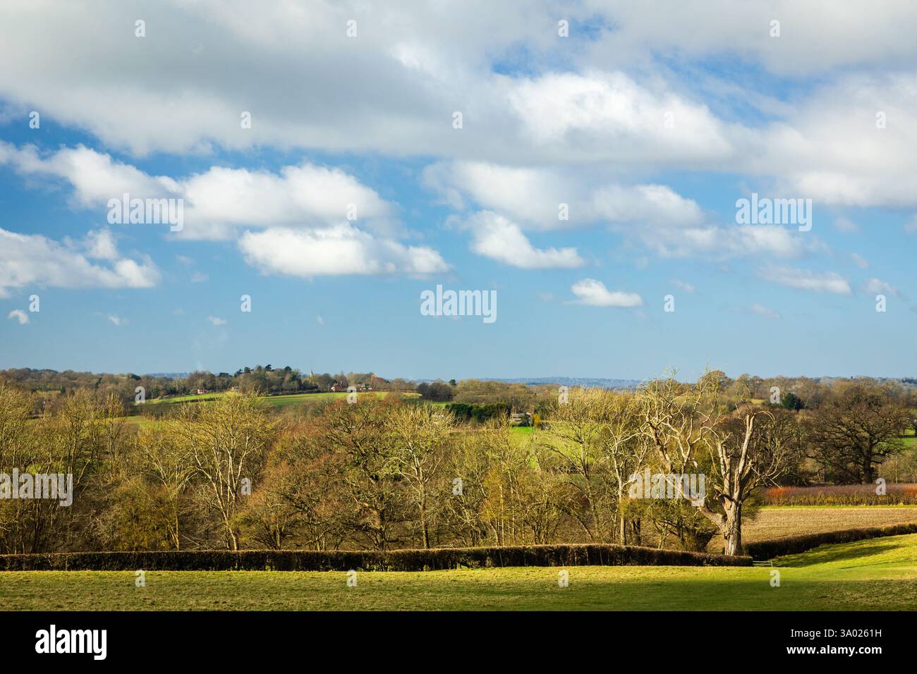Sanfte, sanfte Landschaft des hohen weald Farmland und Wälder in der Nähe von Great Dixter im Osten Sussex im Südosten Englands Großbritannien Stockfoto