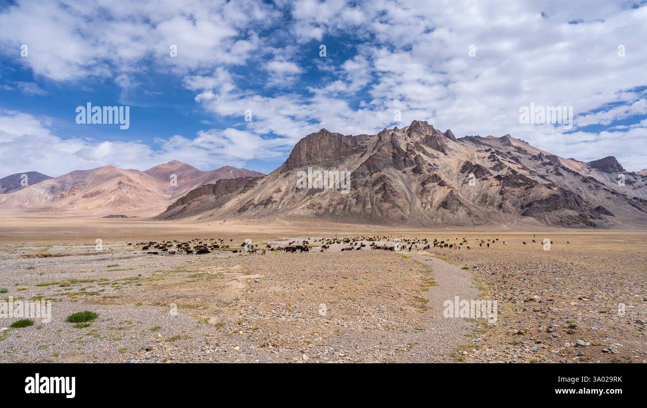Malerische Berglandschaft mit Pfad und Herde entlang des Pamir Highway im Sommer, Murghab, Gorno-Badakhshan, Tadschikistan Stockfoto