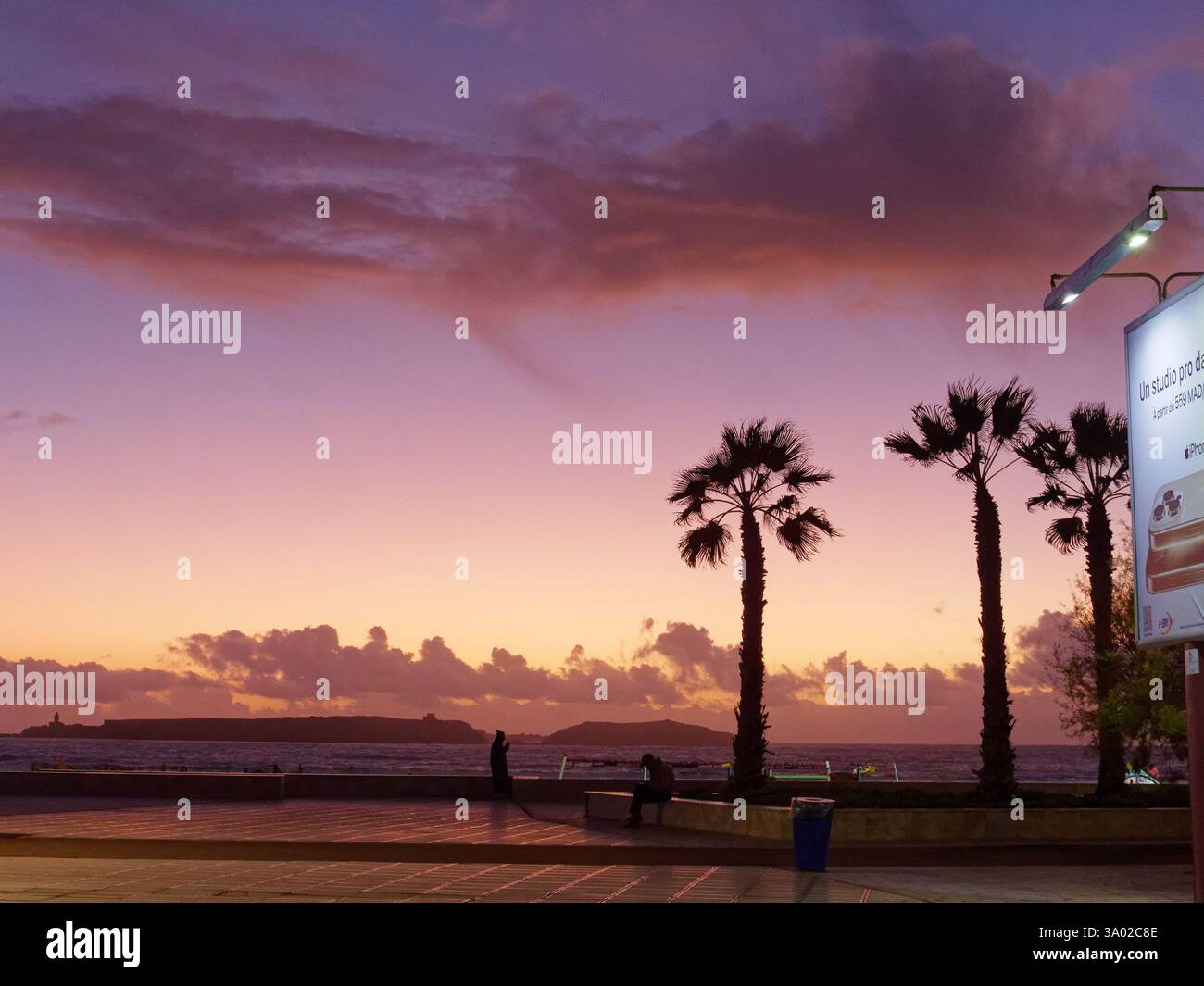 Palmen schwanken bei starkem Wind auf der Promenade mit Meer und Insel dahinter, während die Wolken bei Sonnenuntergang in Essaouria, Marokko, violett werden. Februar/März 2025 Stockfoto