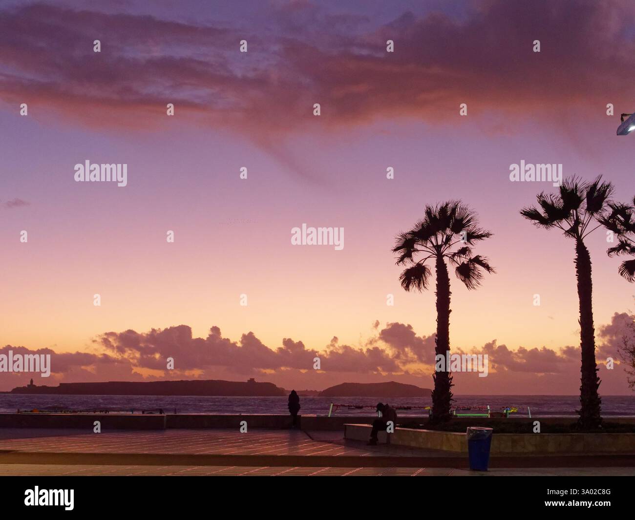 Palmen schwanken bei starkem Wind auf der Promenade mit Meer und Insel dahinter, während die Wolken bei Sonnenuntergang in Essaouria, Marokko, violett werden. Februar/März 2025 Stockfoto