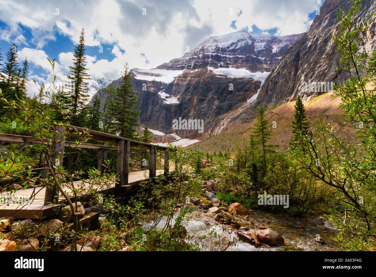 Eine kleine Holzbrücke über einen Bach auf einem Wanderweg Path of the Glacier. Mt Edith Cavell Meadows. Jasper National Park, Alberta, Kanada. Stockfoto