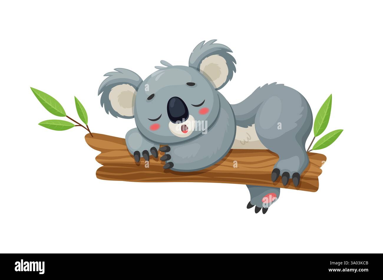 Der lustige Koalabär, der friedlich auf dem Eukalyptusbaum schläft. Isolierter Vektor süßes tropisches Tier mit flauschigem grauem Fell, Embod Stock Vektor