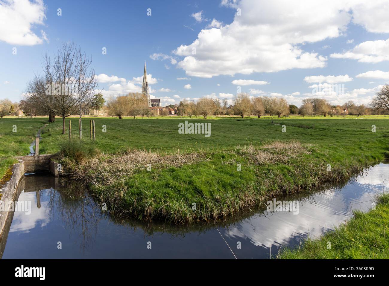 Salisbury Cathedral vom Harnham Water Meadows Path aus gesehen, Salisbury, Wiltshire, England, Großbritannien Stockfoto