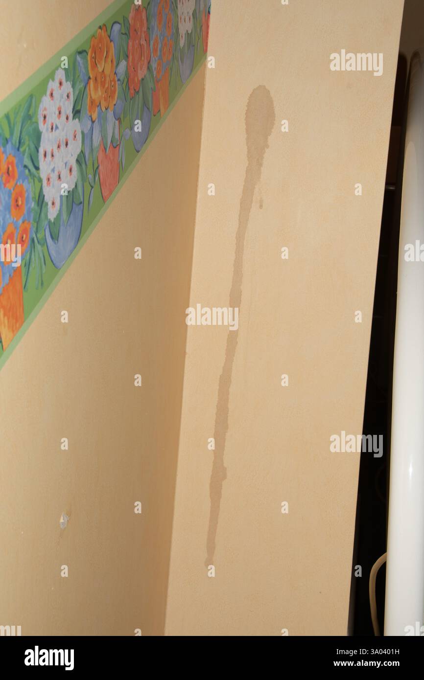 Wasserfleck an der Wand neben dem Blumengemälde im Innenraum Stockfoto